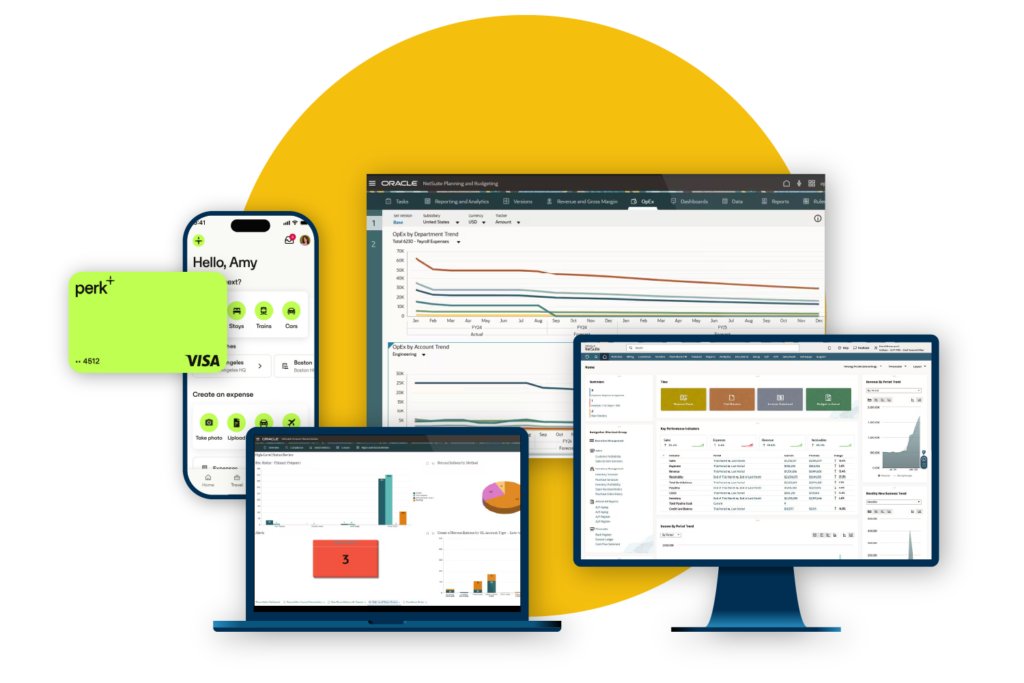 We consult your business with ERP & EPM Software